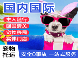 奇台江布拉克机场物流国际宠物托运 【国